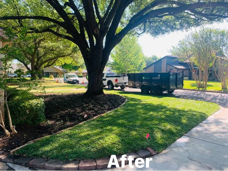Hernandez Tree & Care project 83