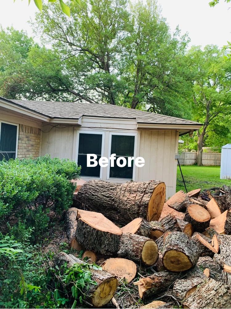 Hernandez Tree & Care project 5
