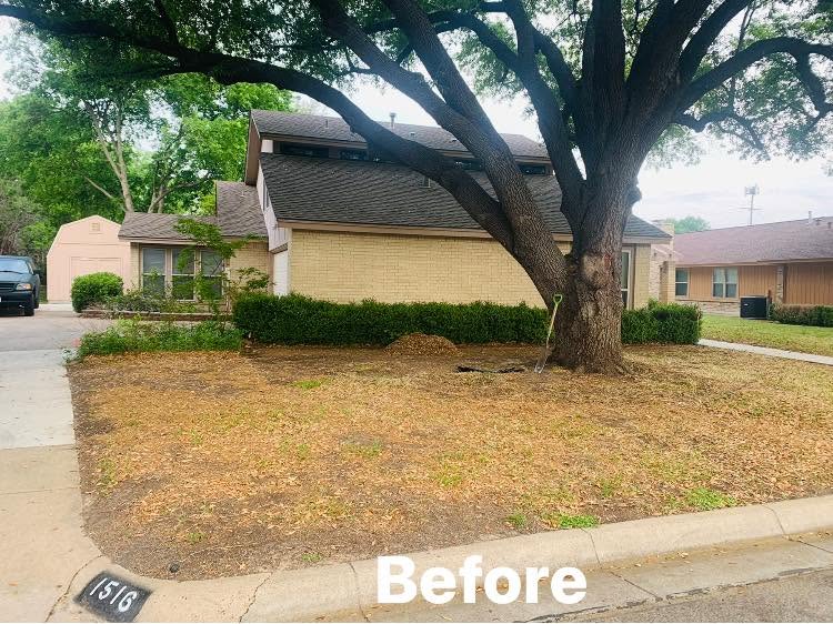 Hernandez Tree & Care project 90