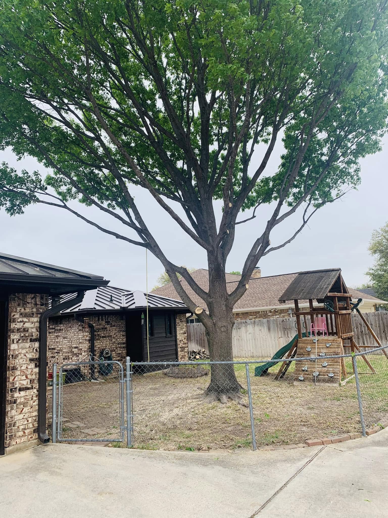 Hernandez Tree & Care project 91