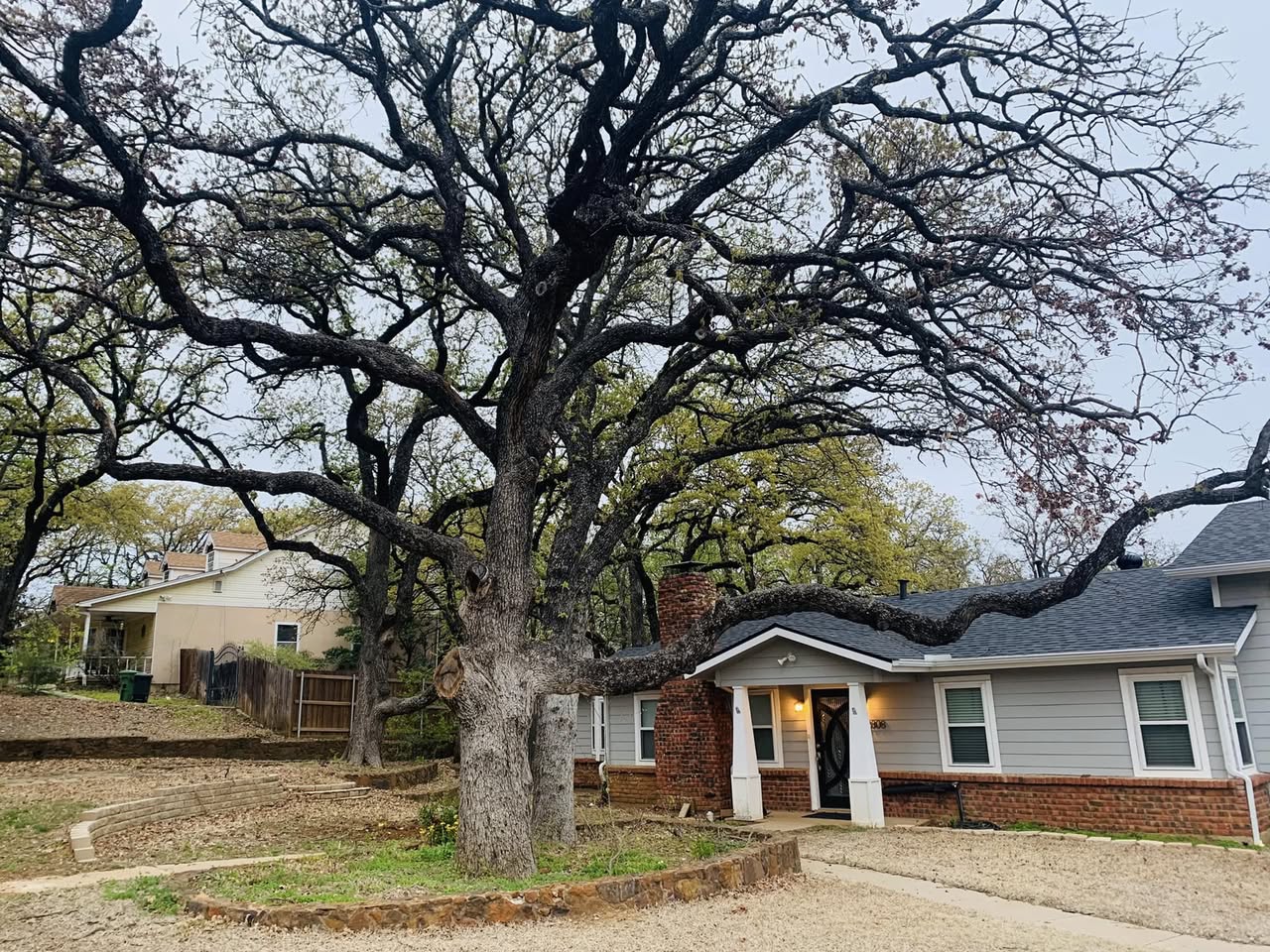 Hernandez Tree & Care project 94