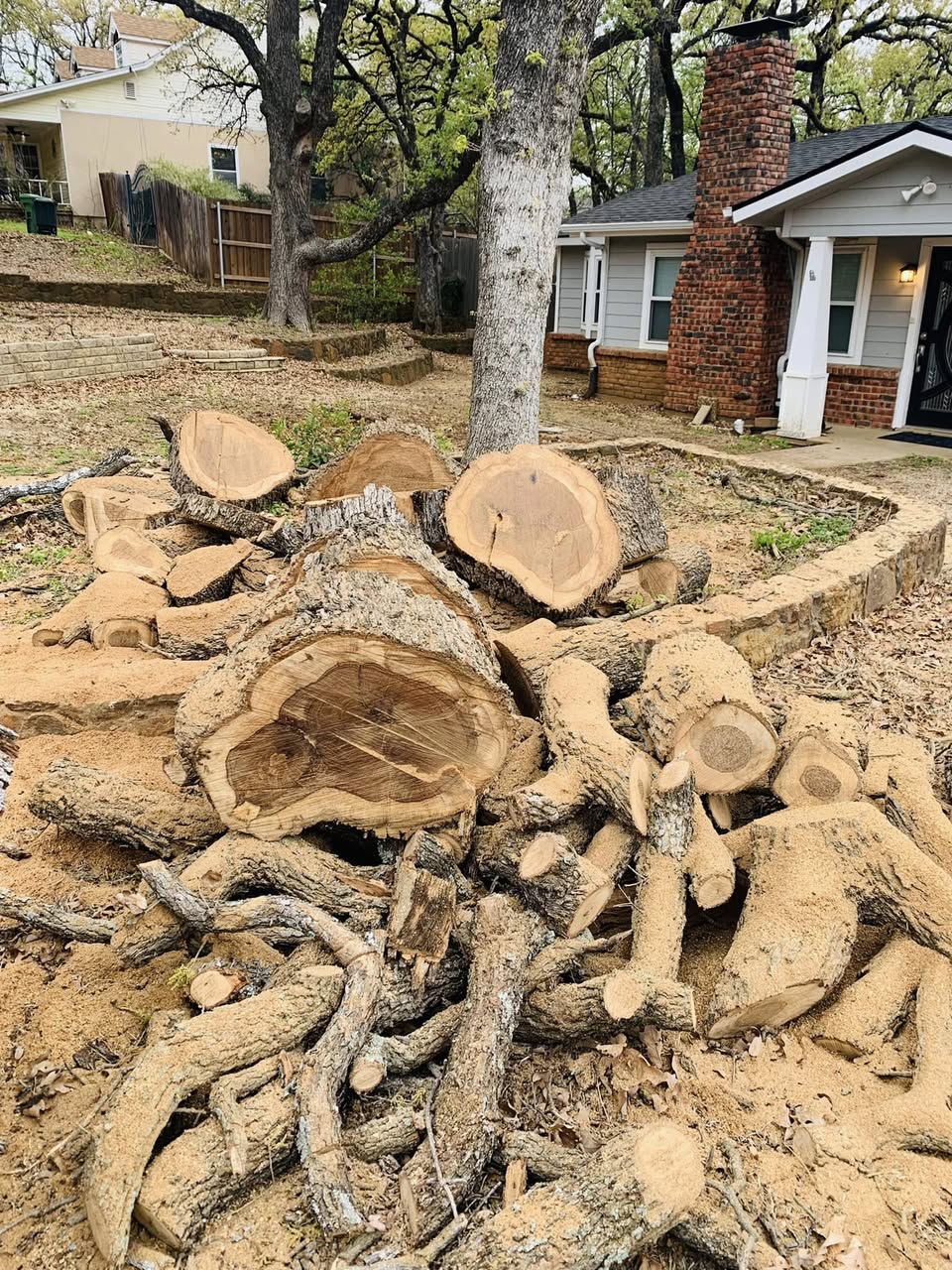 Hernandez Tree & Care project 95