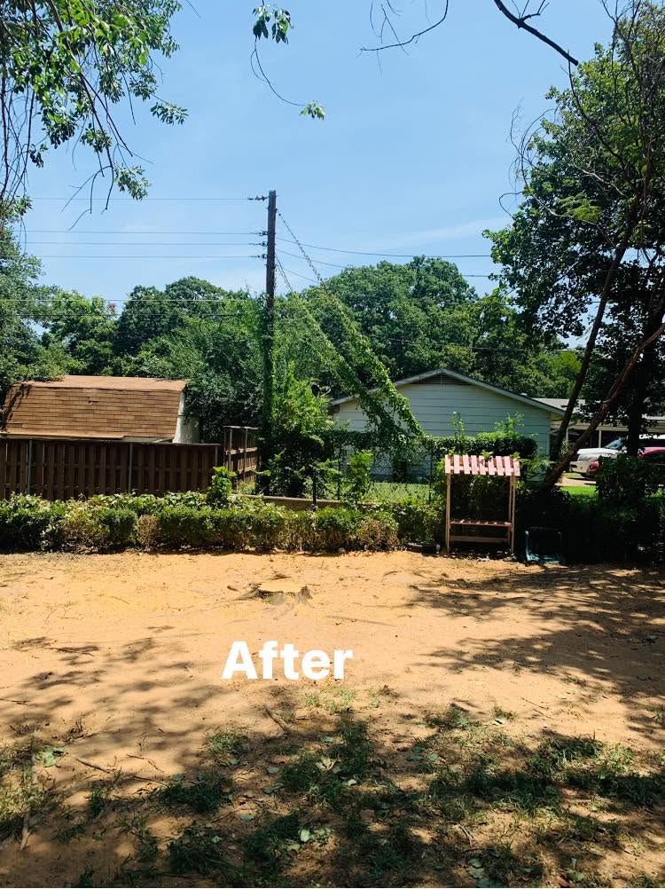 Land Clearing project