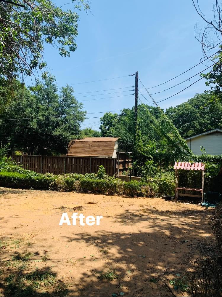 Hernandez Tree & Care project 24