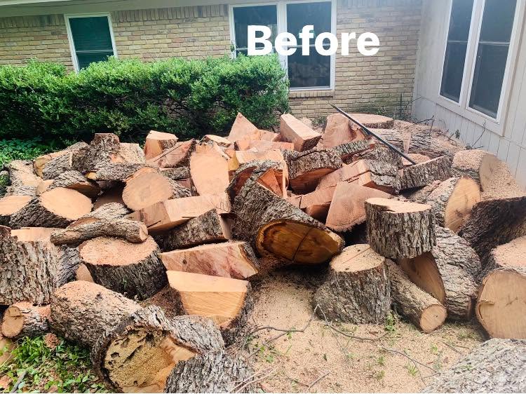 Hernandez Tree & Care project 6