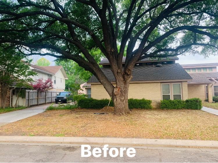 Hernandez Tree & Care project 96