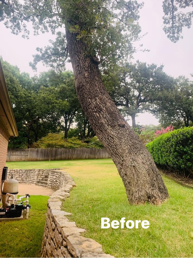 Hernandez Tree & Care project 31