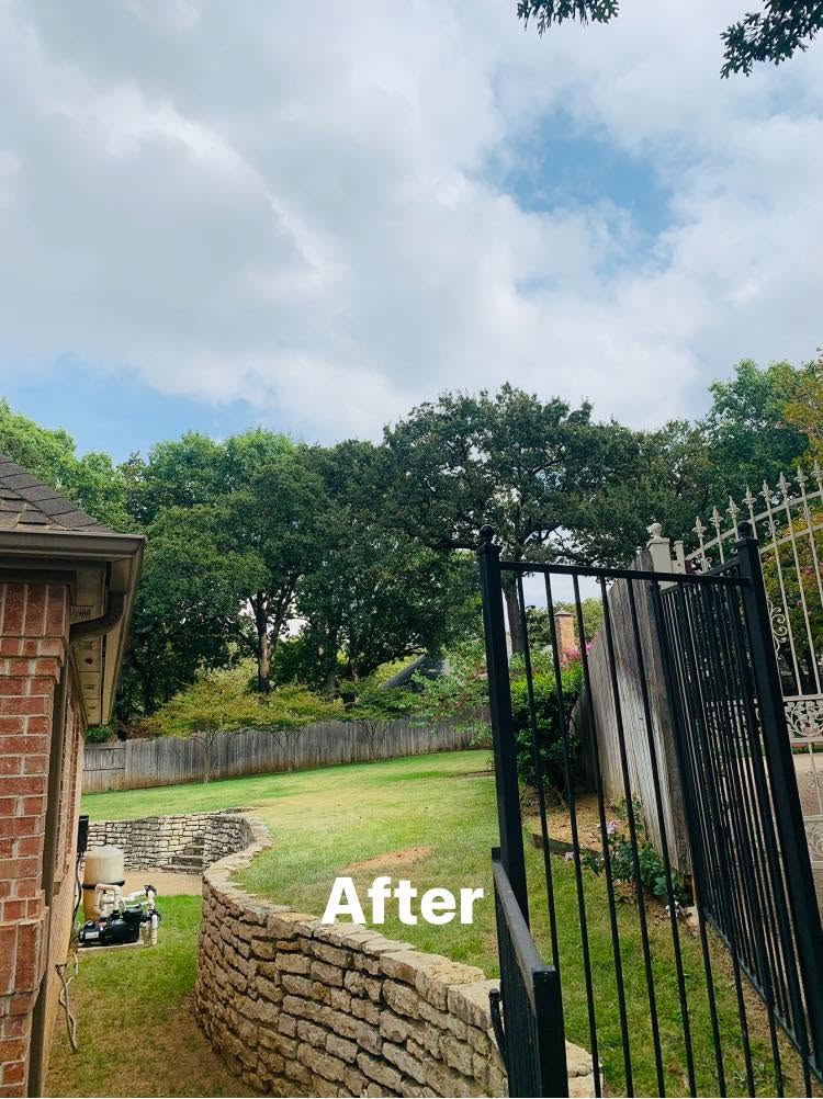 Hernandez Tree & Care project 32