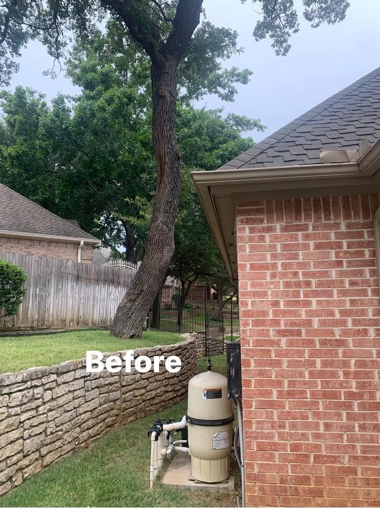 Hernandez Tree & Care project 34