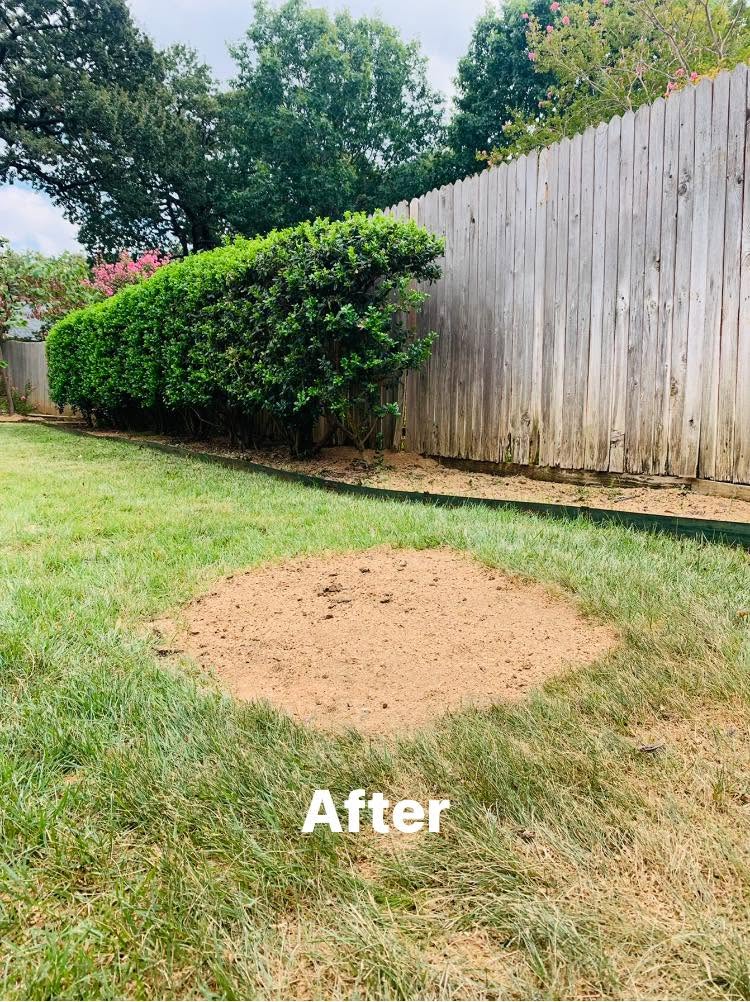 Hernandez Tree & Care project 44