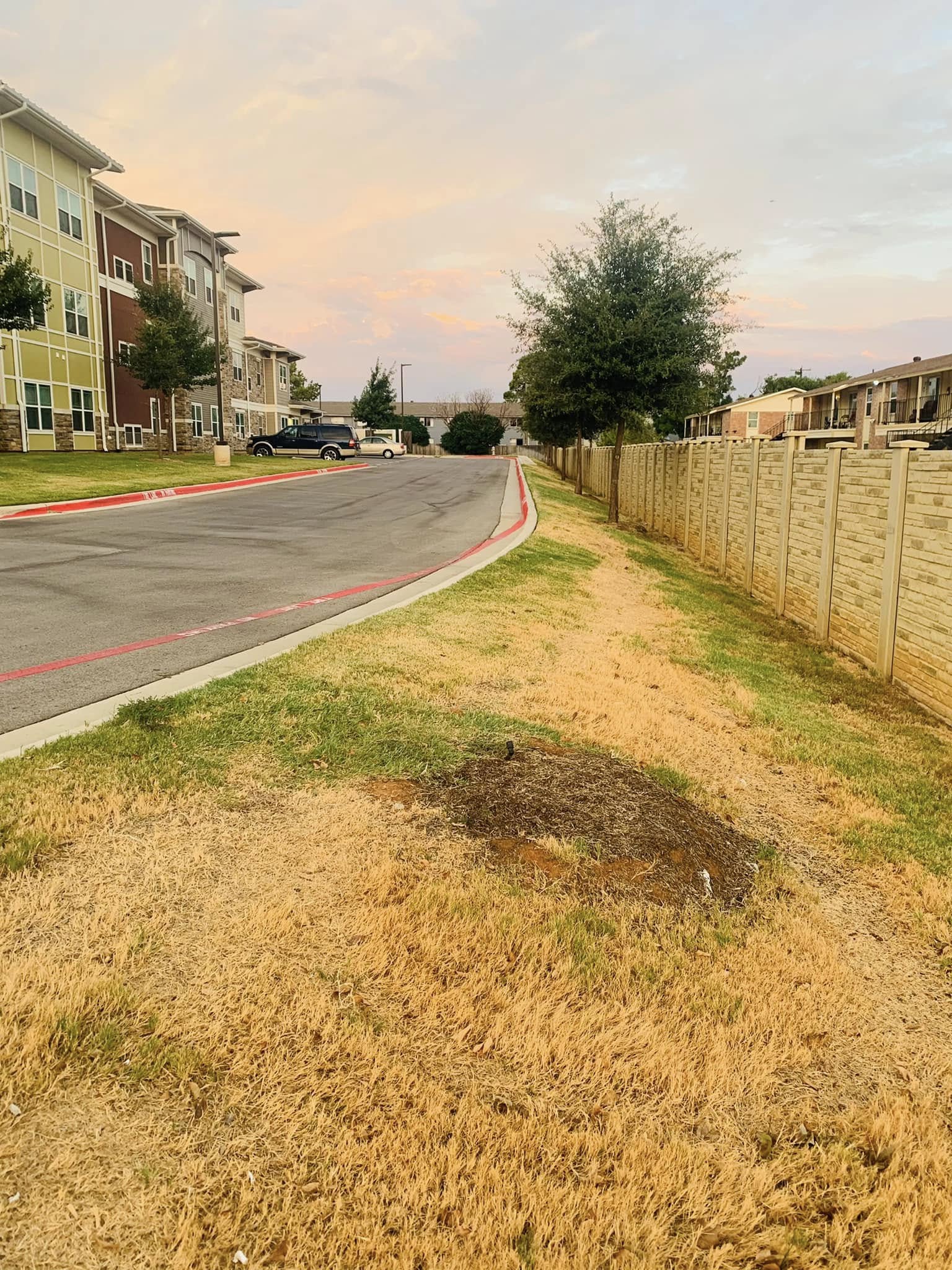 Commercial Tree Removal project