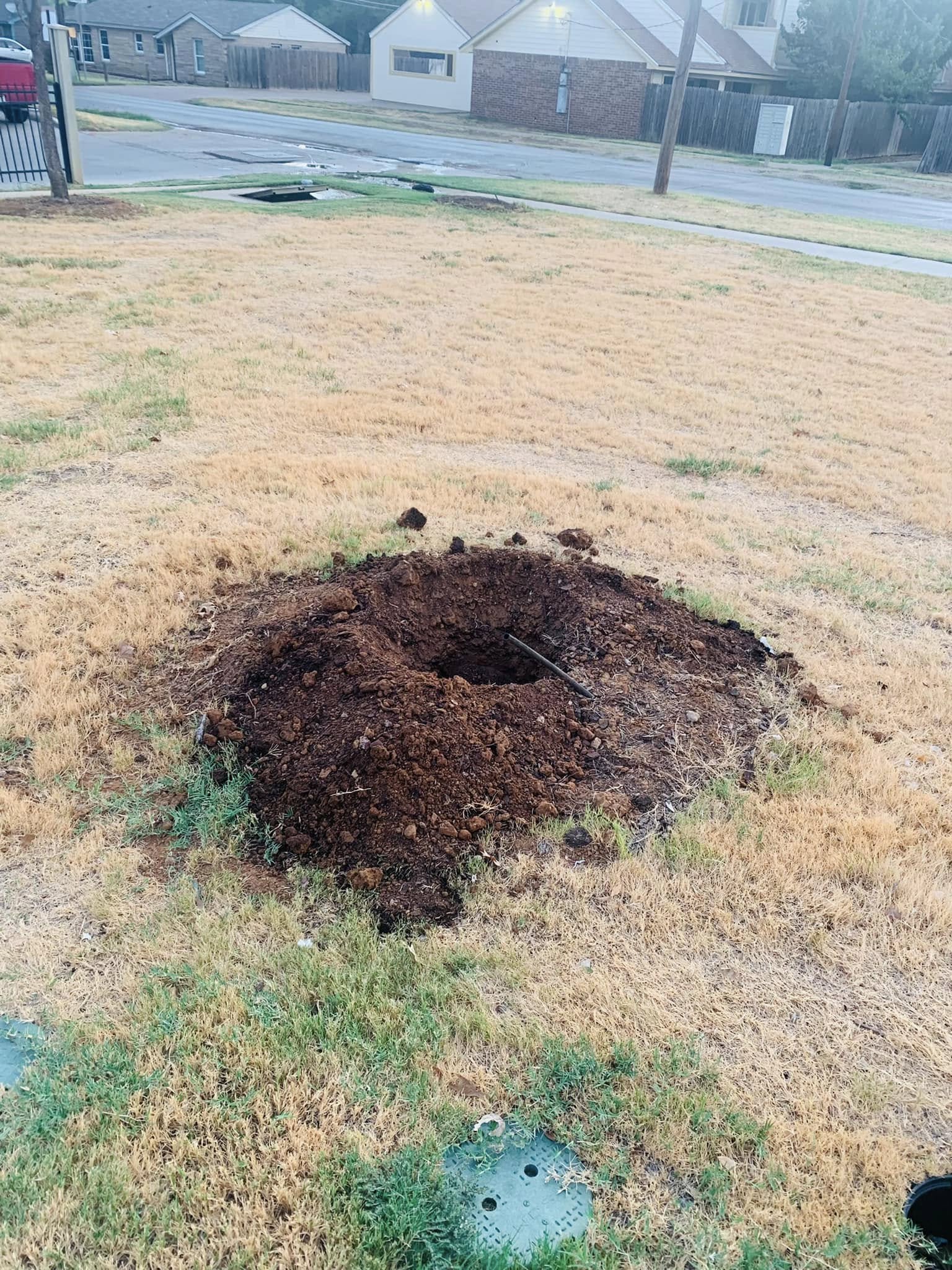 Hernandez Tree & Care project 49