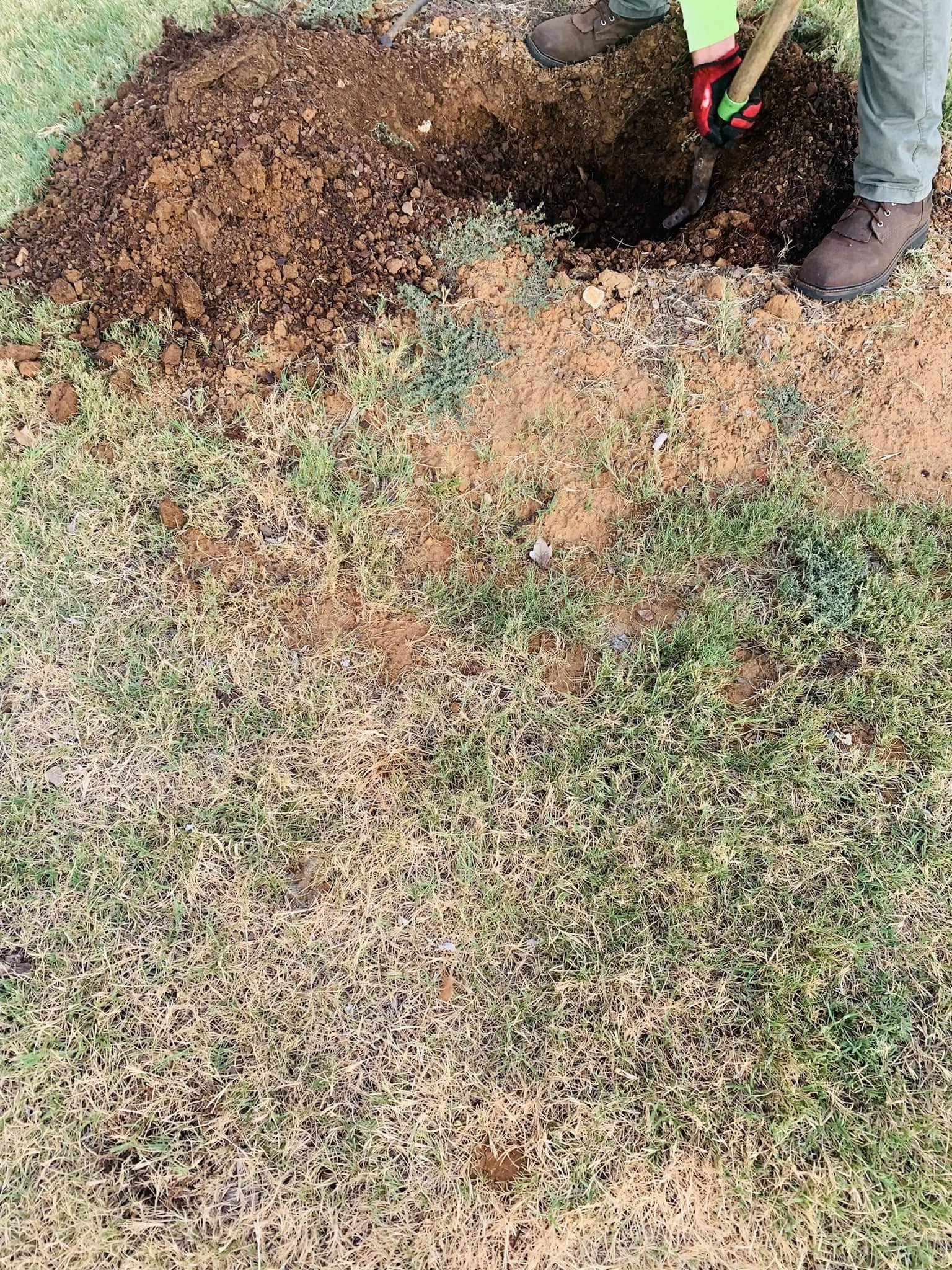 Hernandez Tree & Care project 51