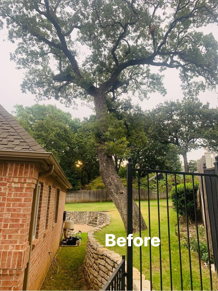 Hernandez Tree & Care project 53