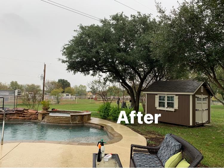 Hernandez Tree & Care project 61