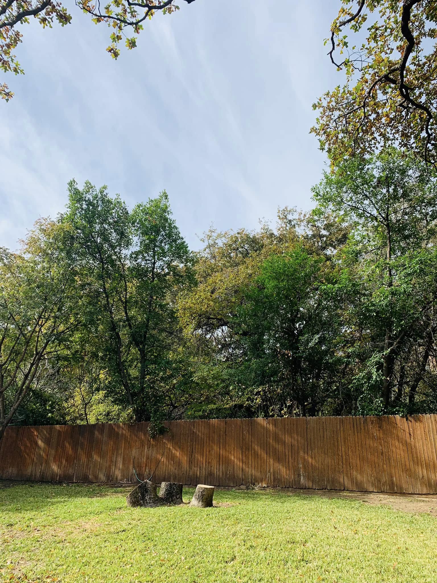 Hernandez Tree & Care project 63
