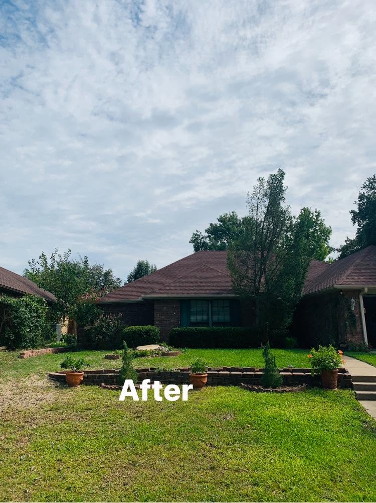 Tree care project serving the Hurst area