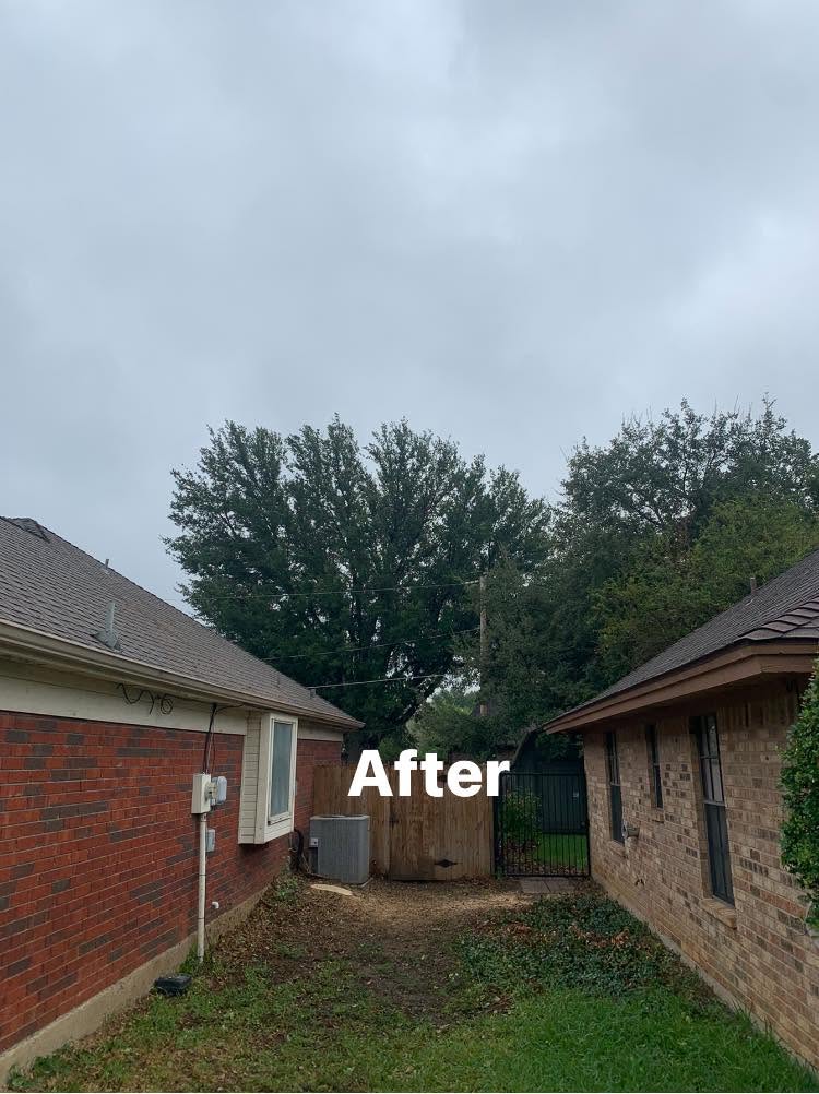 Hernandez Tree & Care project 67