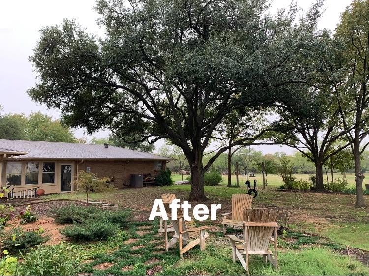 Hernandez Tree & Care project 68