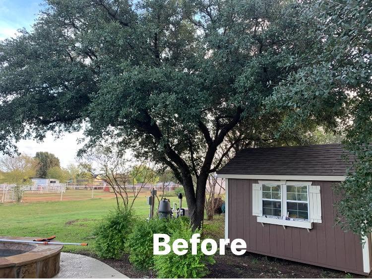 Hernandez Tree & Care project 71