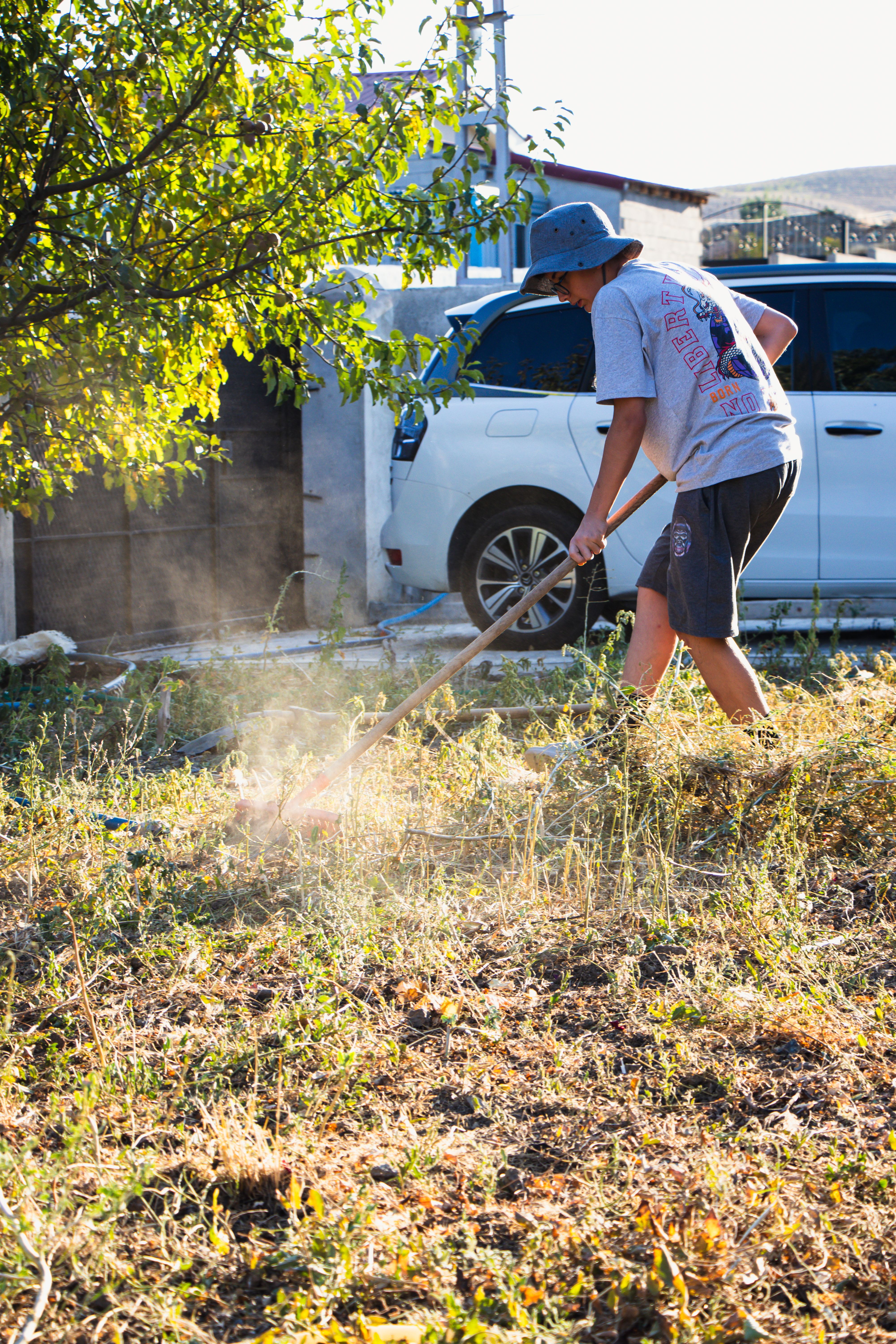 Fall Yard Cleanup project