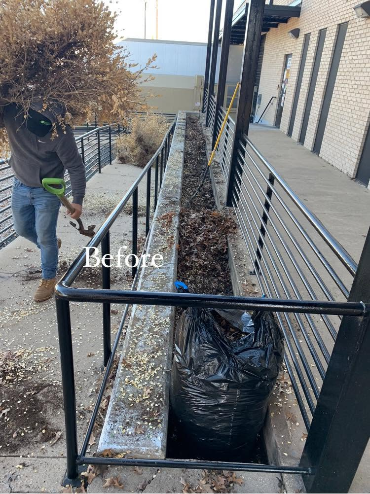 Leaf Removal project