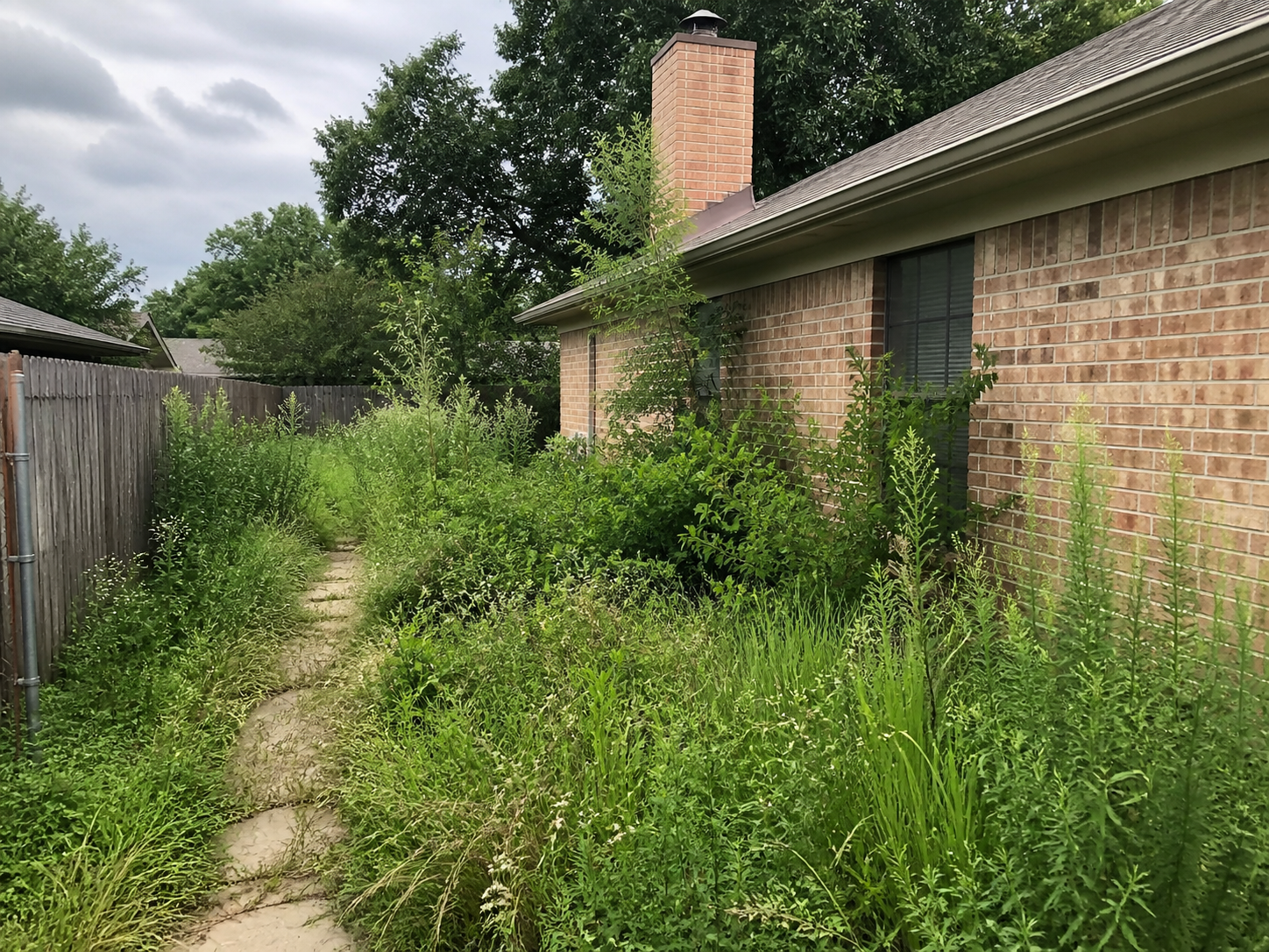 Overgrown Yard Cleanup project