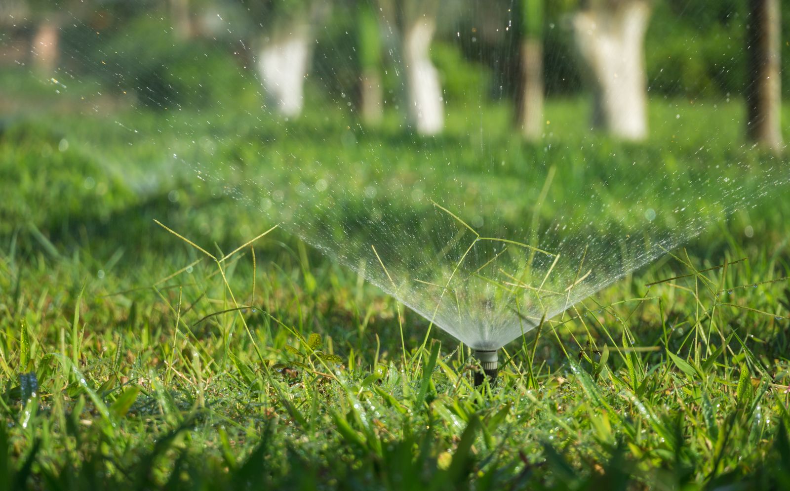 Irrigation Installation project